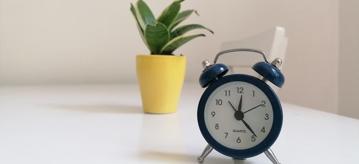 A blue vintage alarm clock and potted plant on a white surface, minimalistic decor.