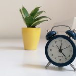 A blue vintage alarm clock and potted plant on a white surface, minimalistic decor.