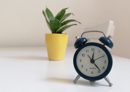 A blue vintage alarm clock and potted plant on a white surface, minimalistic decor.